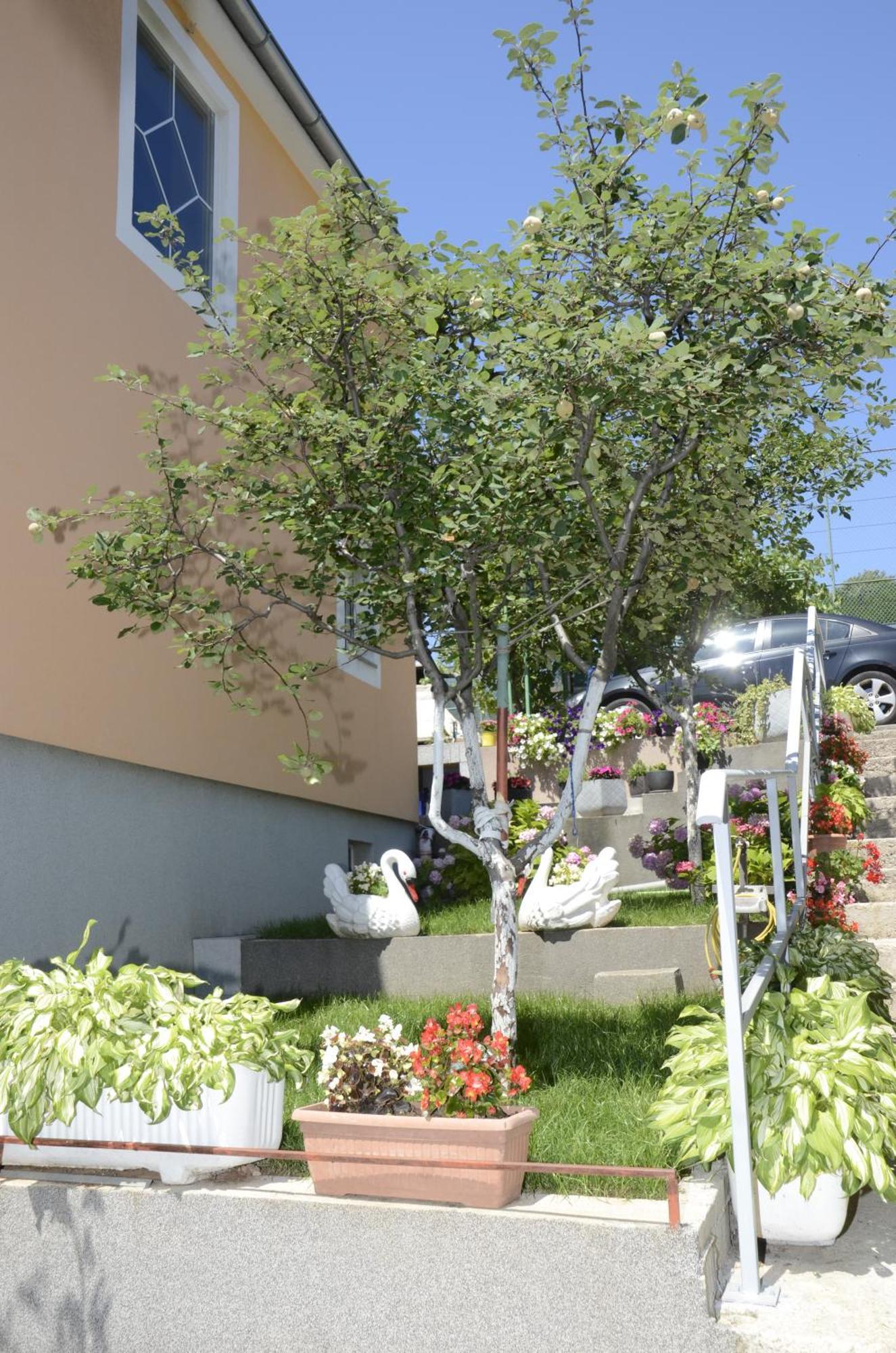 Apartments Lilly - Studio Rijeka Exteriör bild