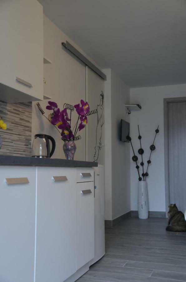 Apartments Lilly - Studio Rijeka Exteriör bild