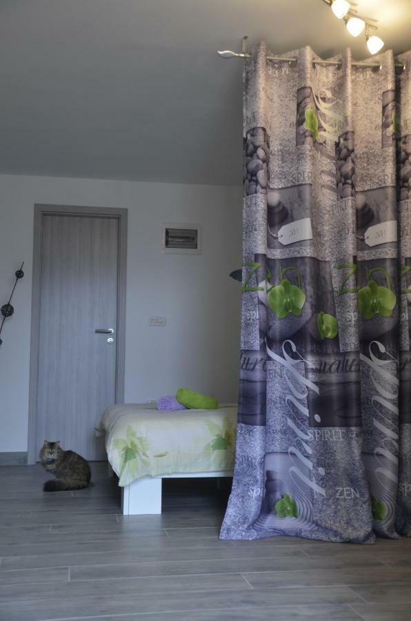 Apartments Lilly - Studio Rijeka Exteriör bild